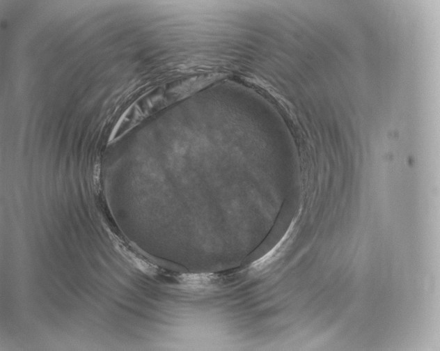 X0000059840192200511111754