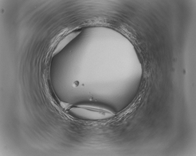 X0000059840193200511111753