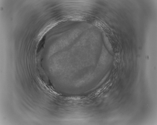 X0000059840194200511111753