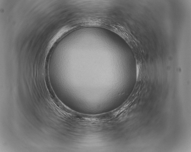 X0000059840195200511111753