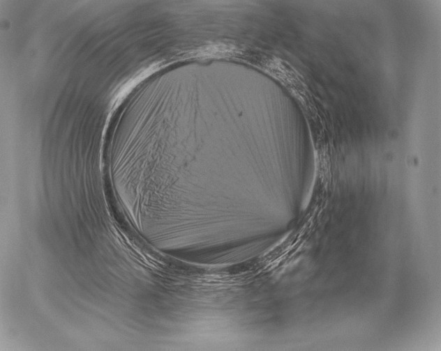 X0000059840196200511111753