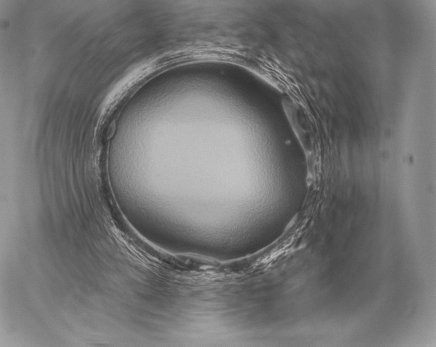 X0000059840197200511111753