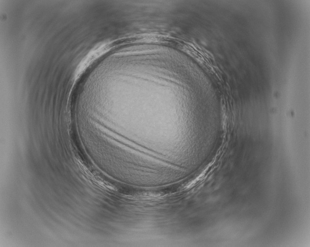 X0000059840198200511111753