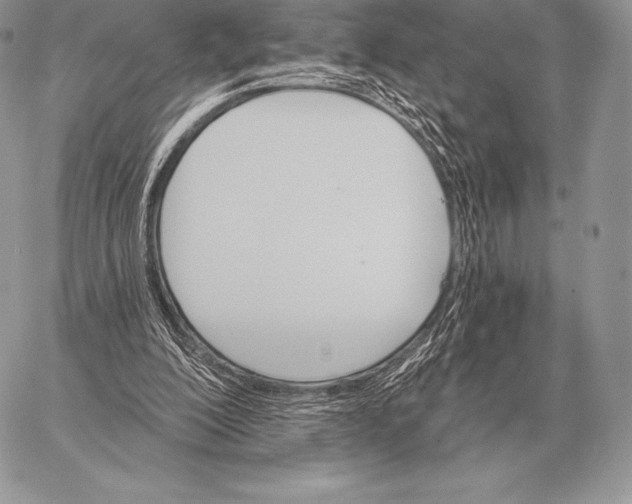 X0000059840200200511111753