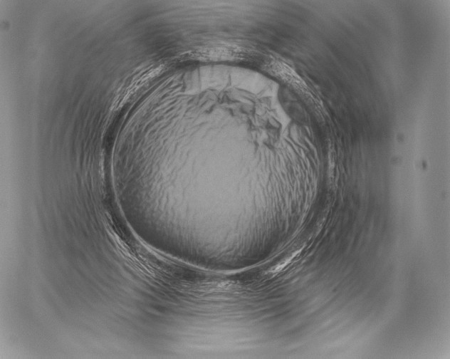 X0000059840202200511111753