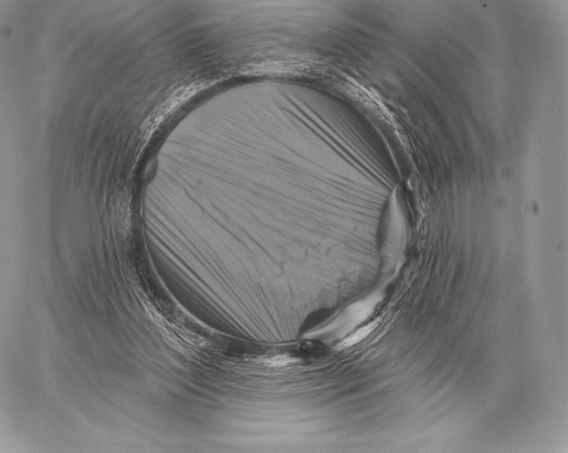 X0000059840204200511111753