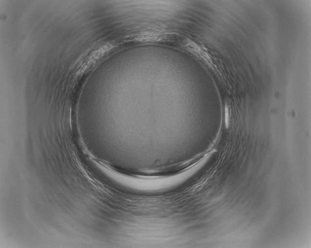 X0000059840205200511111753