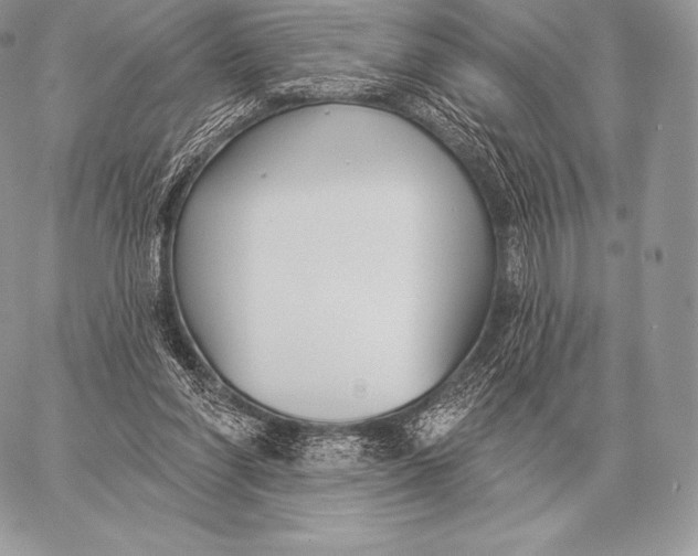 X0000059840206200511111753