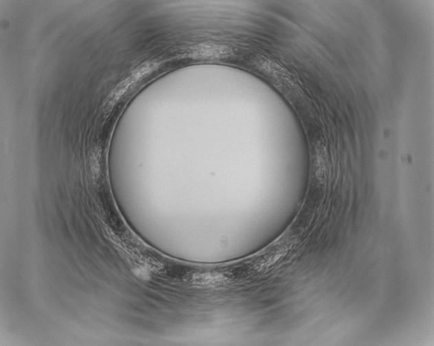 X0000059840208200511111753