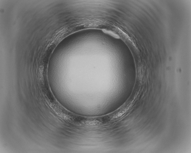 X0000059840209200511111753