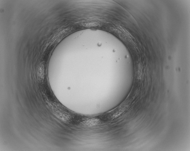 X0000059840210200511111753