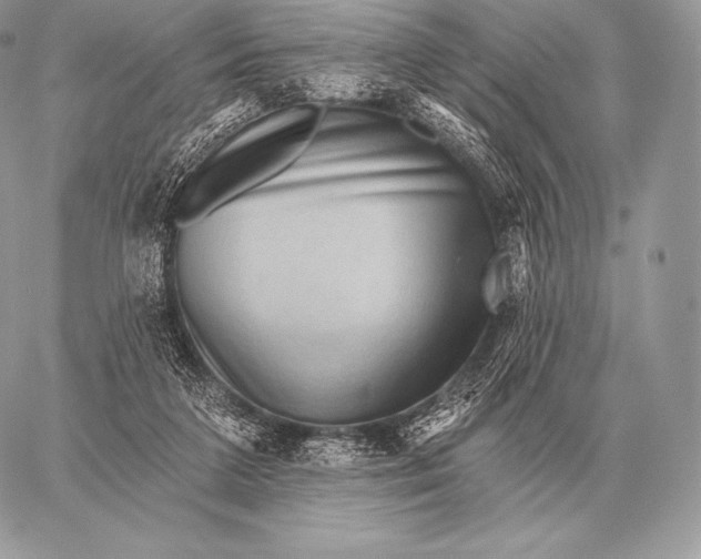 X0000059840211200511111753