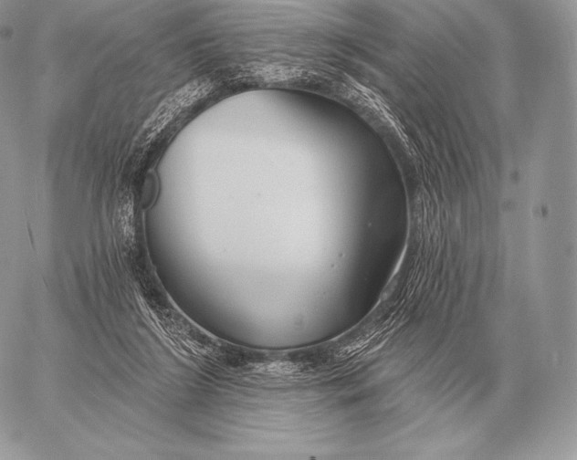 X0000059840212200511111753