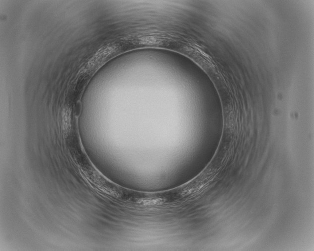 X0000059840213200511111753