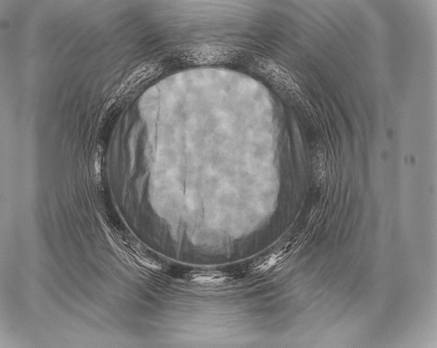 X0000059840214200511111753