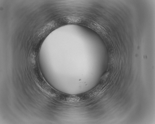 X0000059840215200511111753