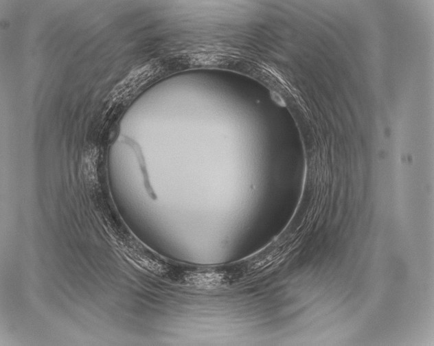 X0000059840217200511111753