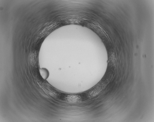 X0000059840218200511111753