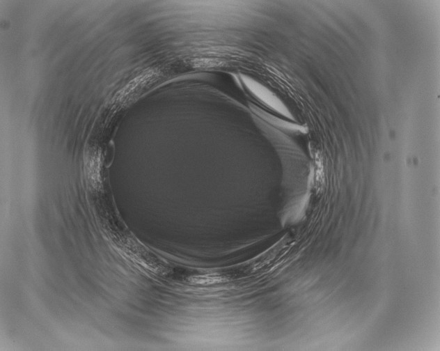 X0000059840219200511111753