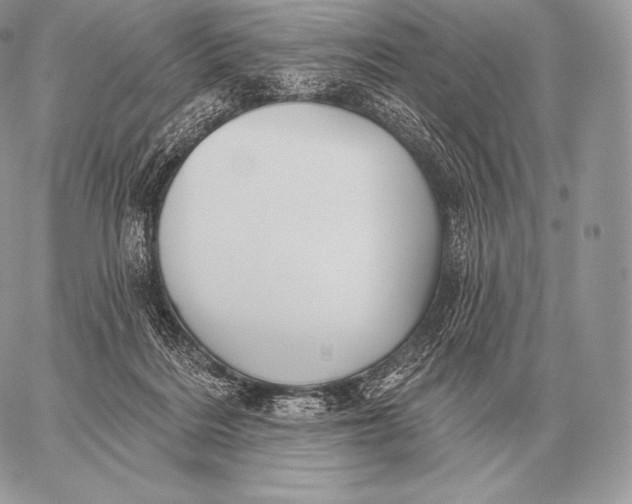 X0000059840220200511111753