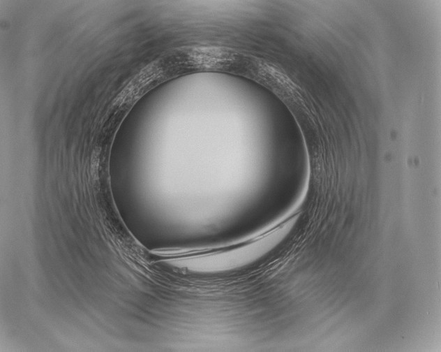 X0000059840221200511111753