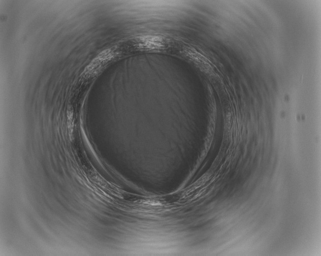 X0000059840223200511111753