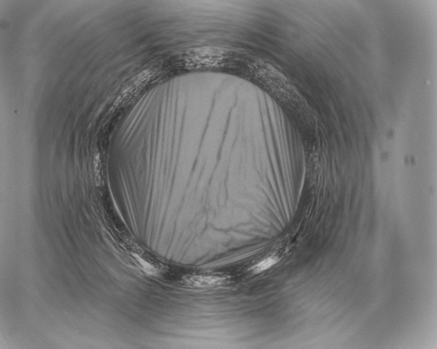 X0000059840224200511111753