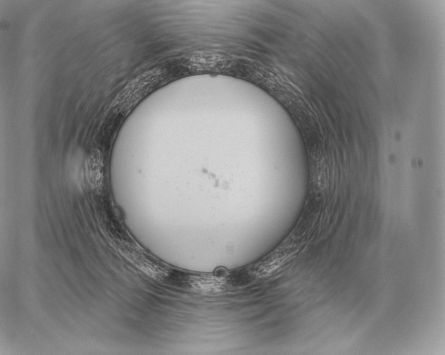 X0000059840226200511111753