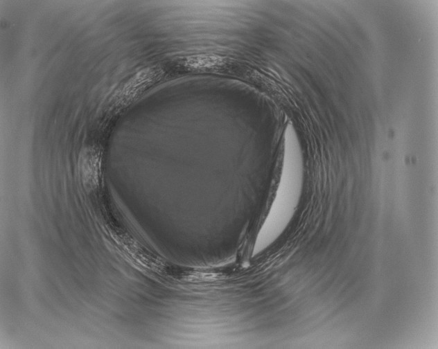 X0000059840227200511111753