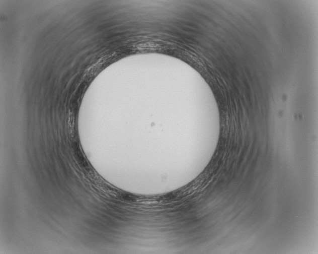 X0000059840228200511111753