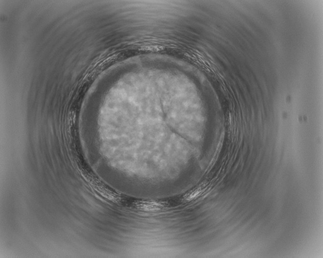 X0000059840229200511111753