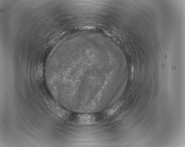 X0000059840230200511111753