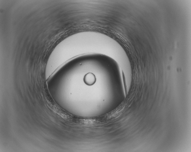 X0000059840233200511111753