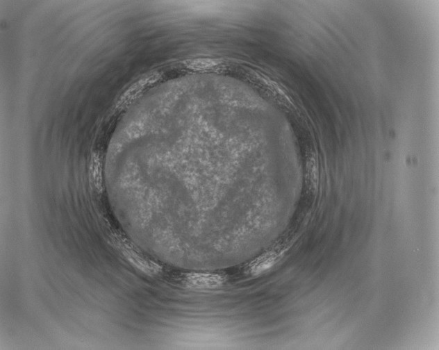 X0000059840234200511111753