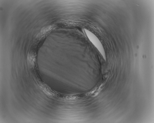 X0000059840235200511111753