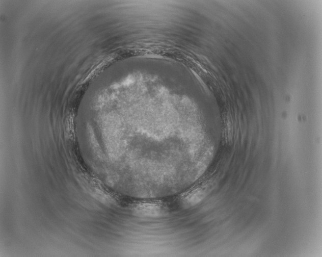 X0000059840236200511111753