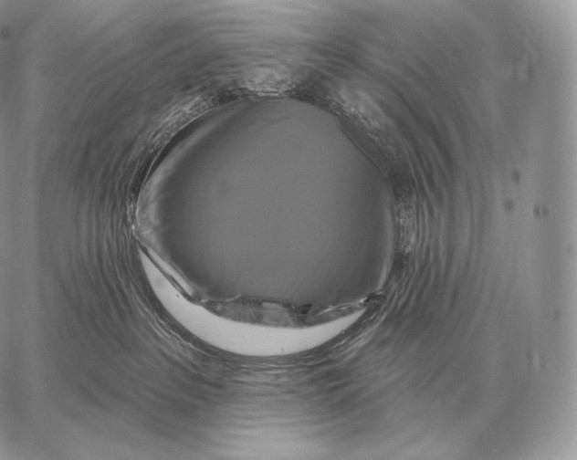 X0000059840237200511111753