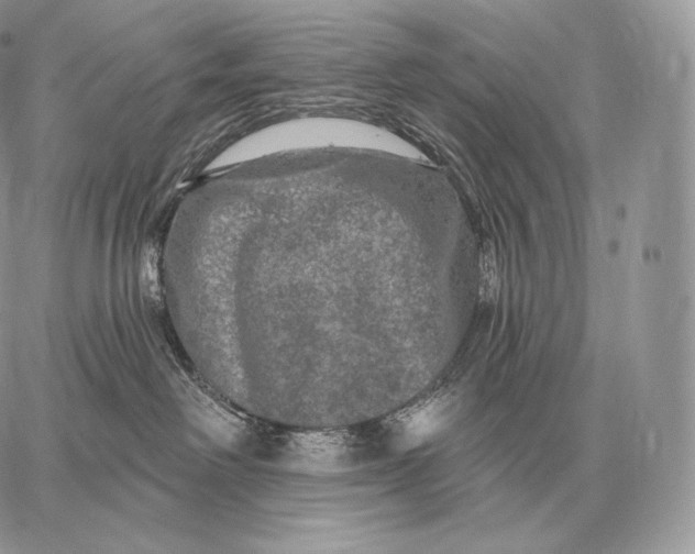 X0000059840238200511111753