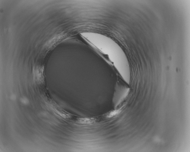 X0000059840239200511111753