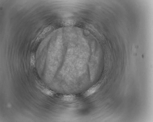 X0000059840240200511111753