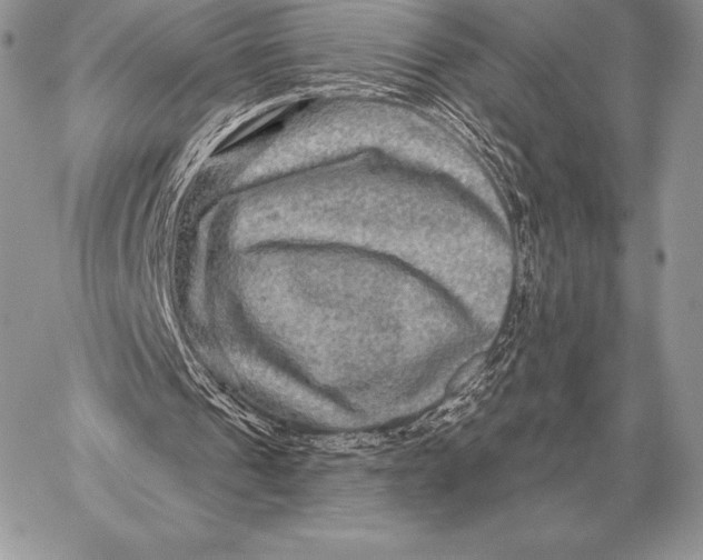 X0000059840241200511111752