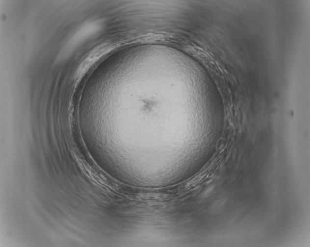 X0000059840242200511111752