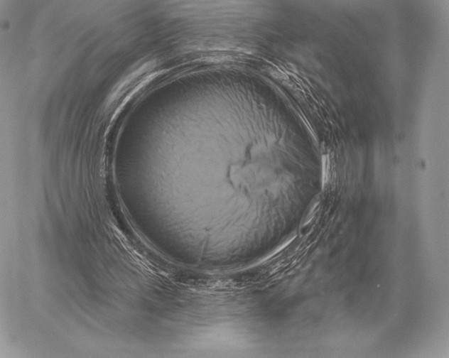 X0000059840243200511111752