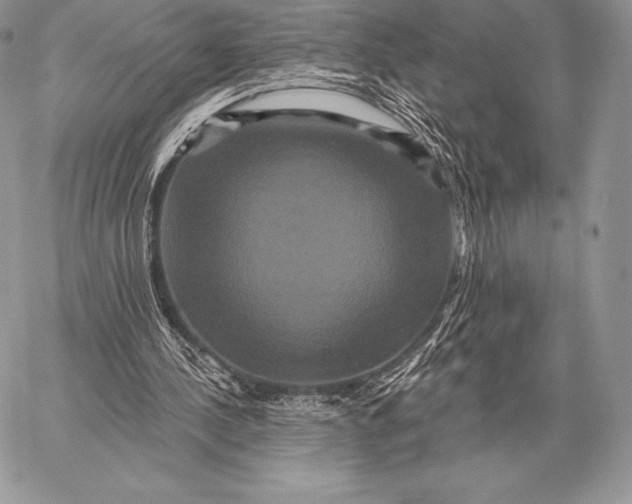 X0000059840244200511111752