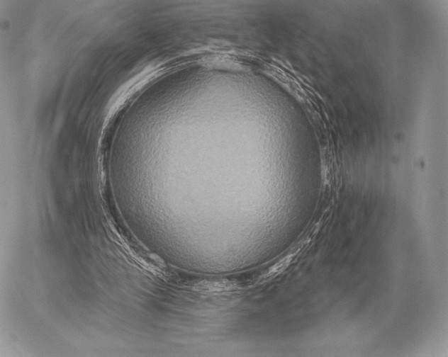 X0000059840245200511111752