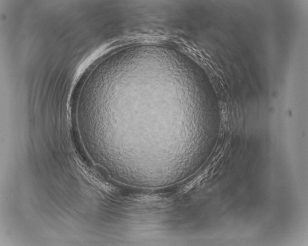 X0000059840246200511111752