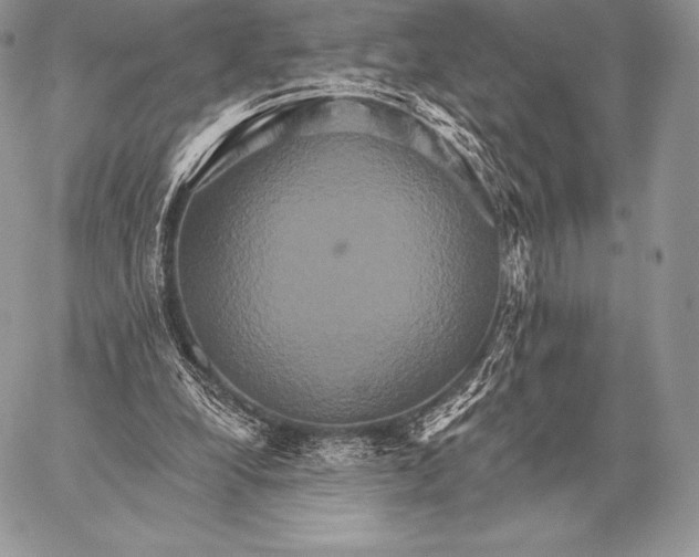 X0000059840248200511111752