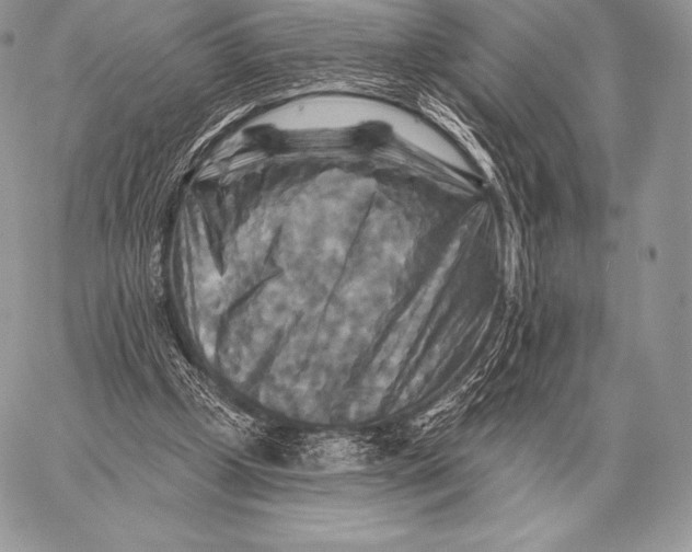 X0000059840249200511111752