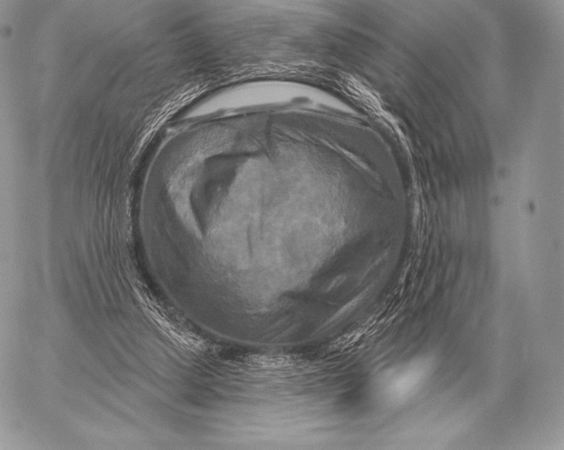 X0000059840250200511111752