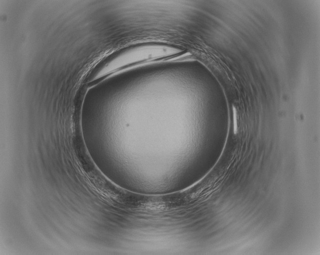 X0000059840252200511111752